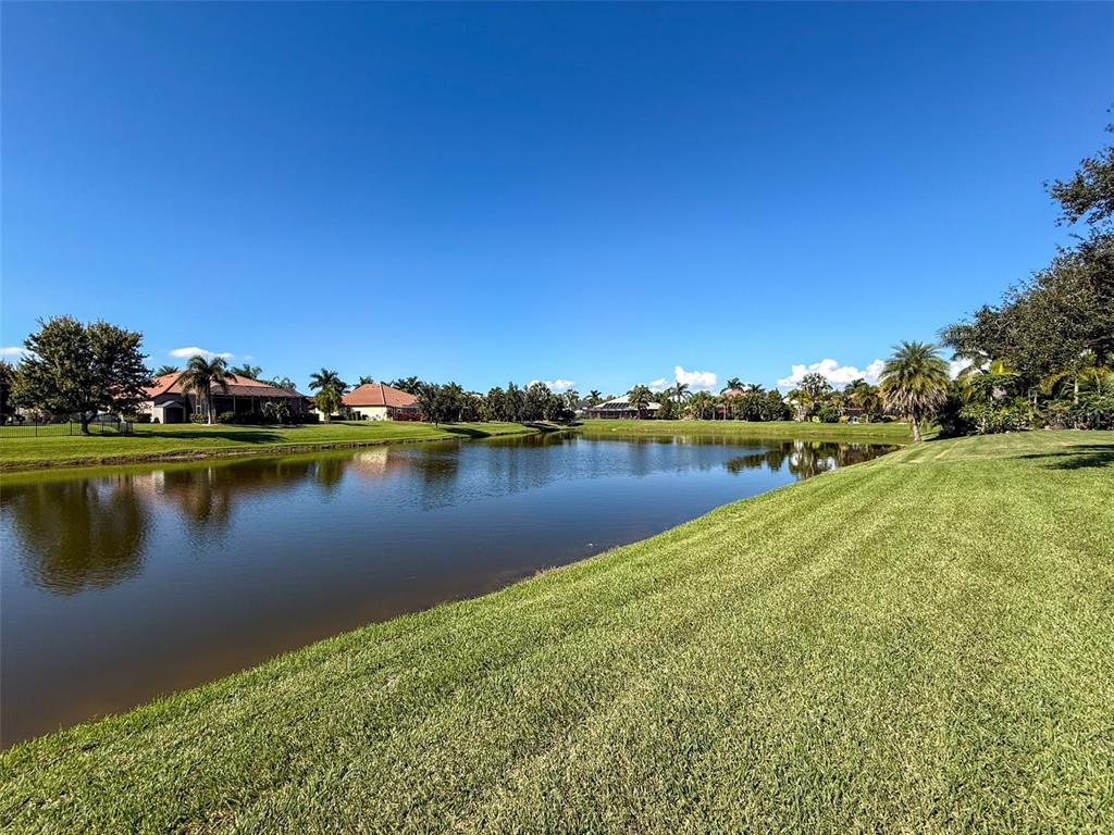 335 Cockle Shell Loop Apollo Beach, FL 33572 - Photo 52 of 90 a view of a lake with houses in the background