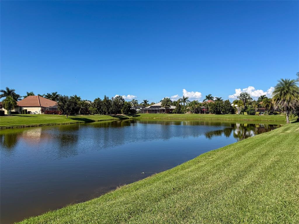 335 Cockle Shell Loop Apollo Beach, FL 33572 - Photo 53 of 90 a view of a lake with houses in the back