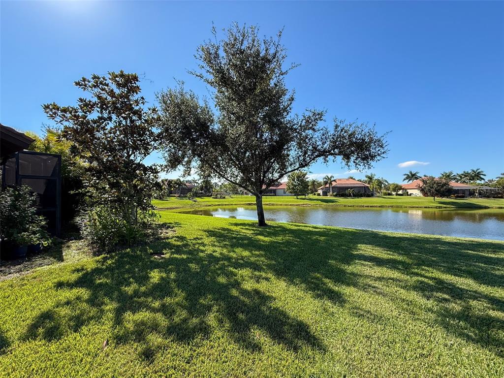 335 Cockle Shell Loop Apollo Beach, FL 33572 - Photo 54 of 90 a view of a lake with a houses