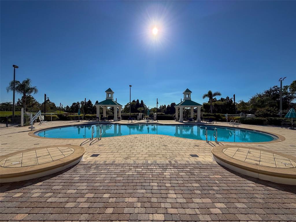 335 Cockle Shell Loop Apollo Beach, FL 33572 - Photo 82 of 90 a view of swimming pool with outdoor seating and yard in back