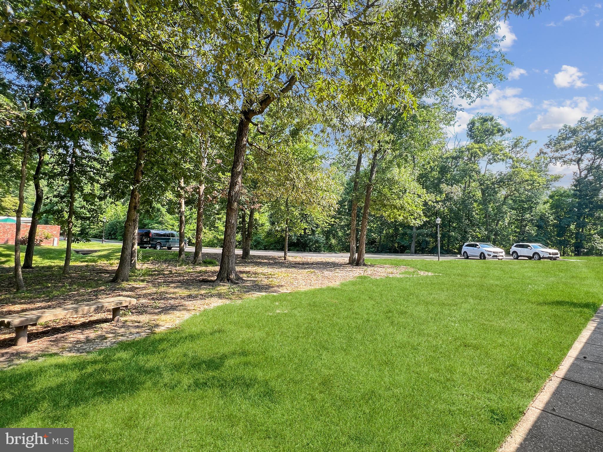 5955 Queenston Street Springfield, VA 22152 - Photo 52 of 63 No Homes Behind You = More Privacy