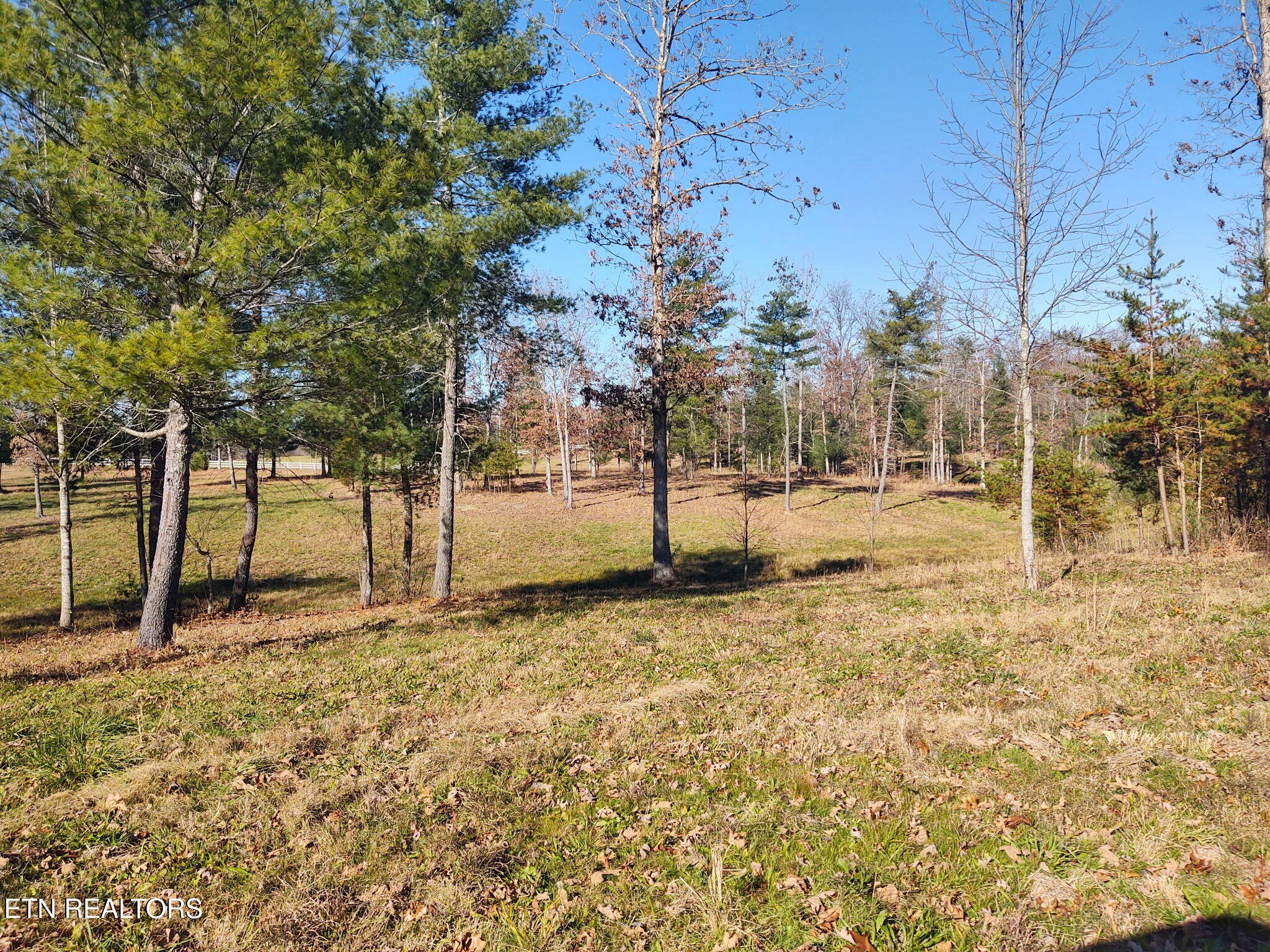 1241 Twin Bridge Road Deer Lodge, TN 37726 - Photo 30 of 35 Gallery Image 30
