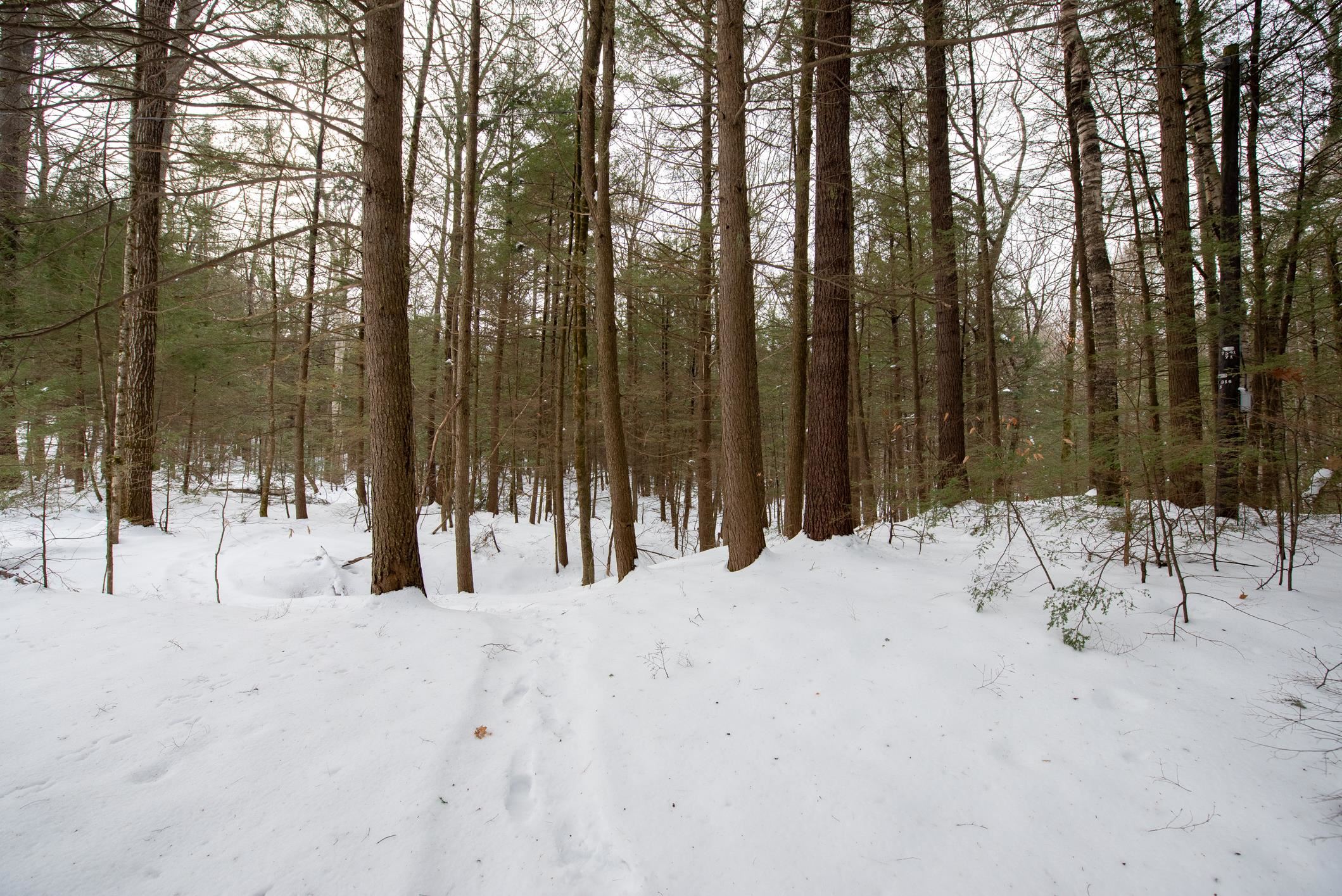 118 Old N Groton Road Rumney, NH 03266 - Photo 14 of 18
