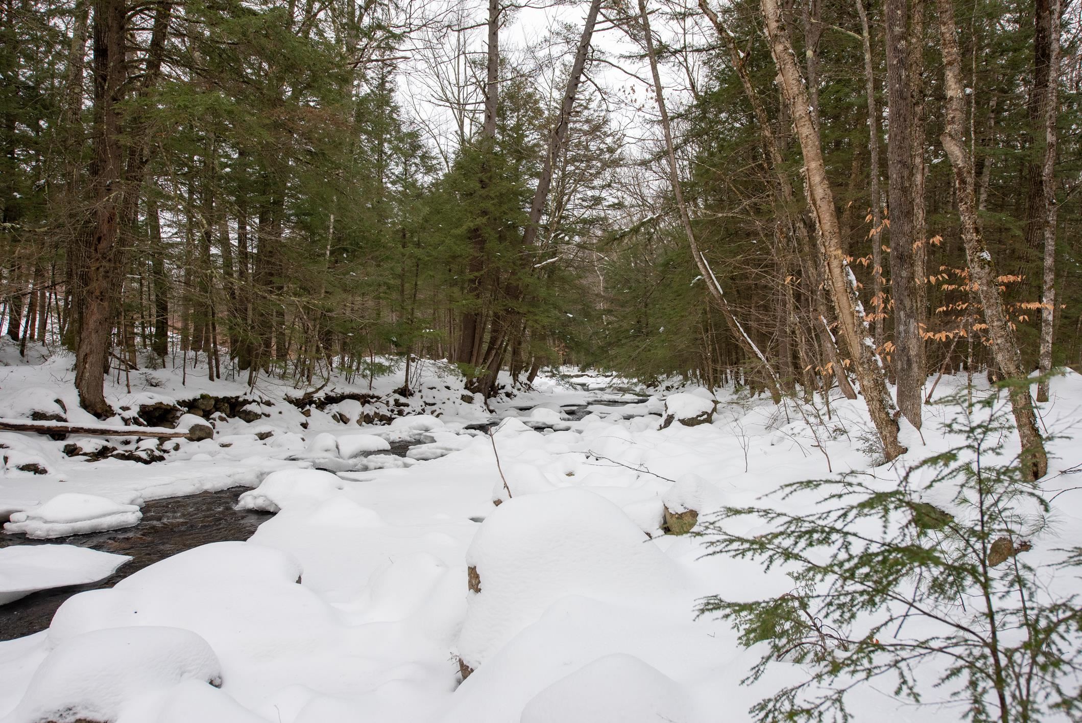 118 Old N Groton Road Rumney, NH 03266 - Photo 7 of 18