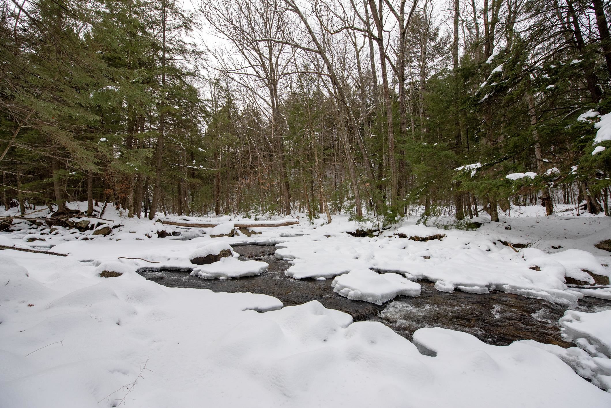 118 Old N Groton Road Rumney, NH 03266 - Photo 8 of 18