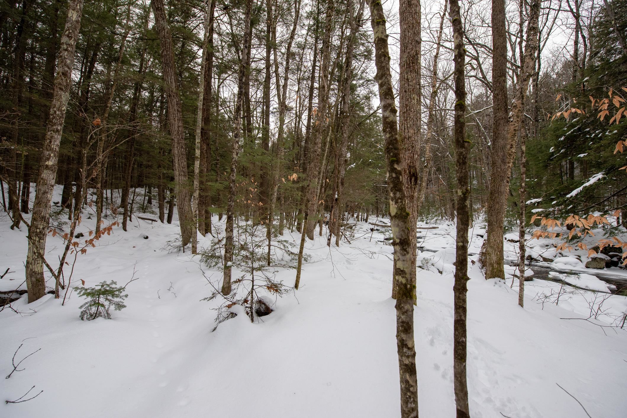 118 Old N Groton Road Rumney, NH 03266 - Photo 9 of 18