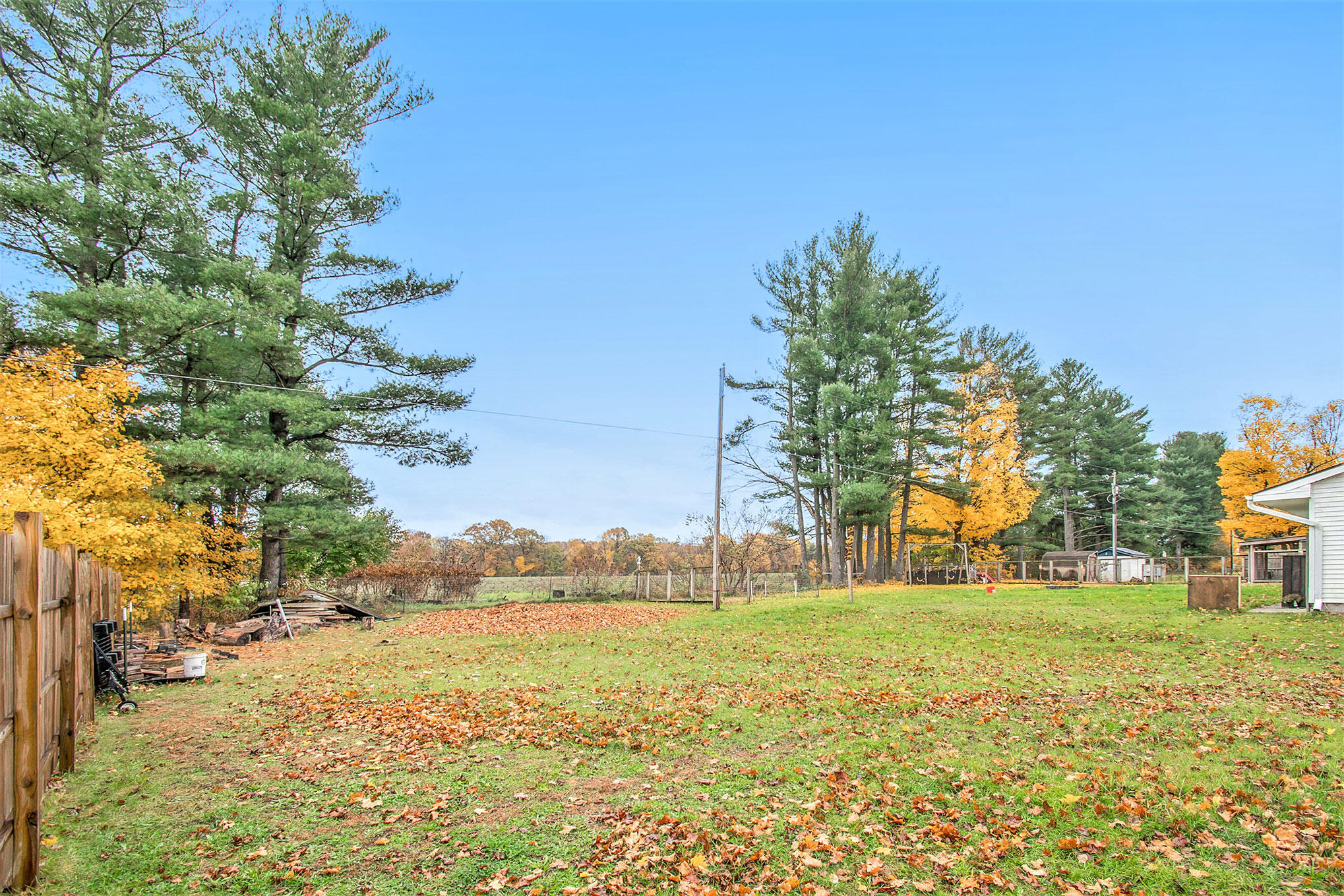 55129 Buckhorn Road Three Rivers, MI 49093 - Photo 6 of 20 DSC_6046
