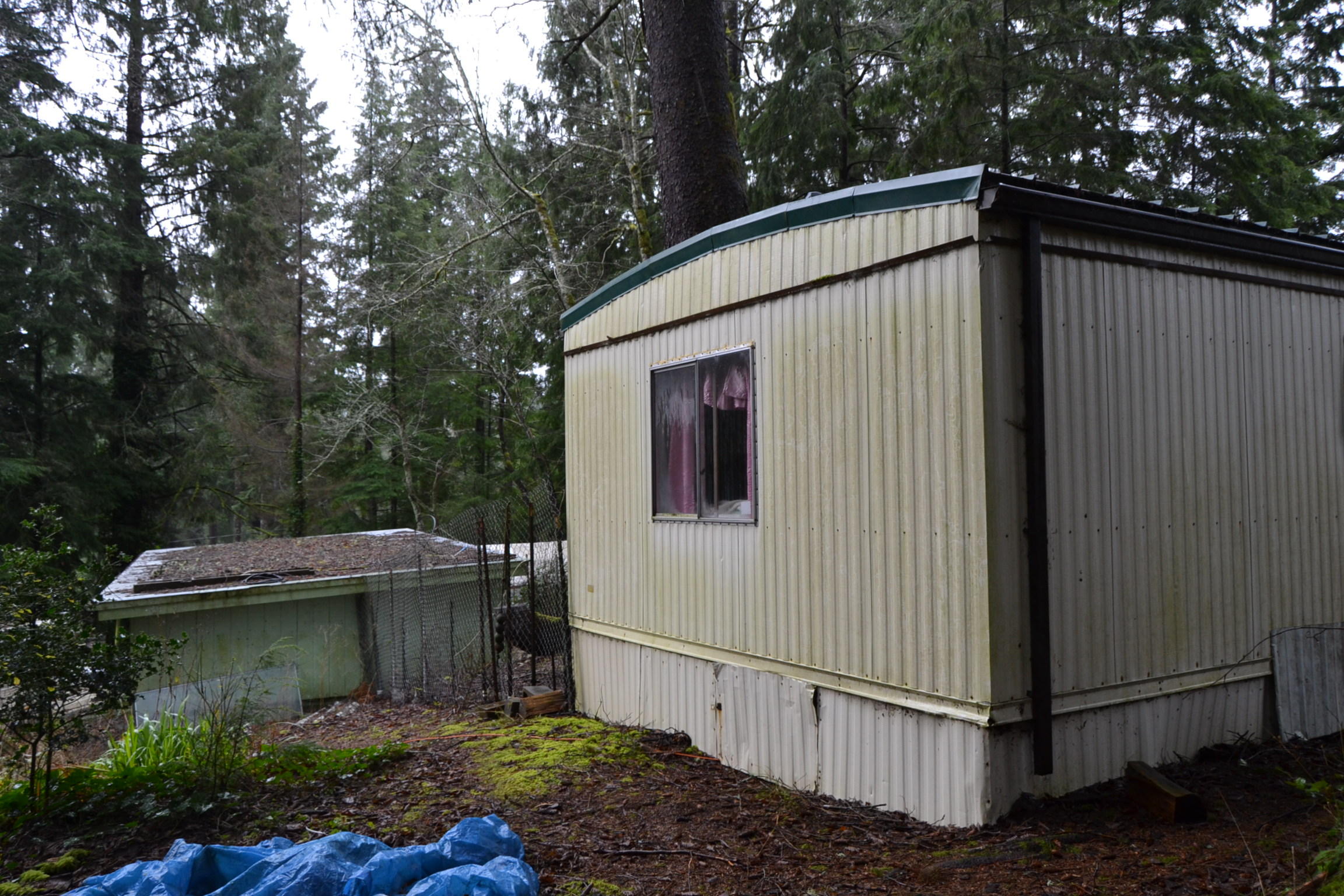 1875 Deer Road Road Tillamook, OR 97141 - Photo 16 of 21 DSC_0670
