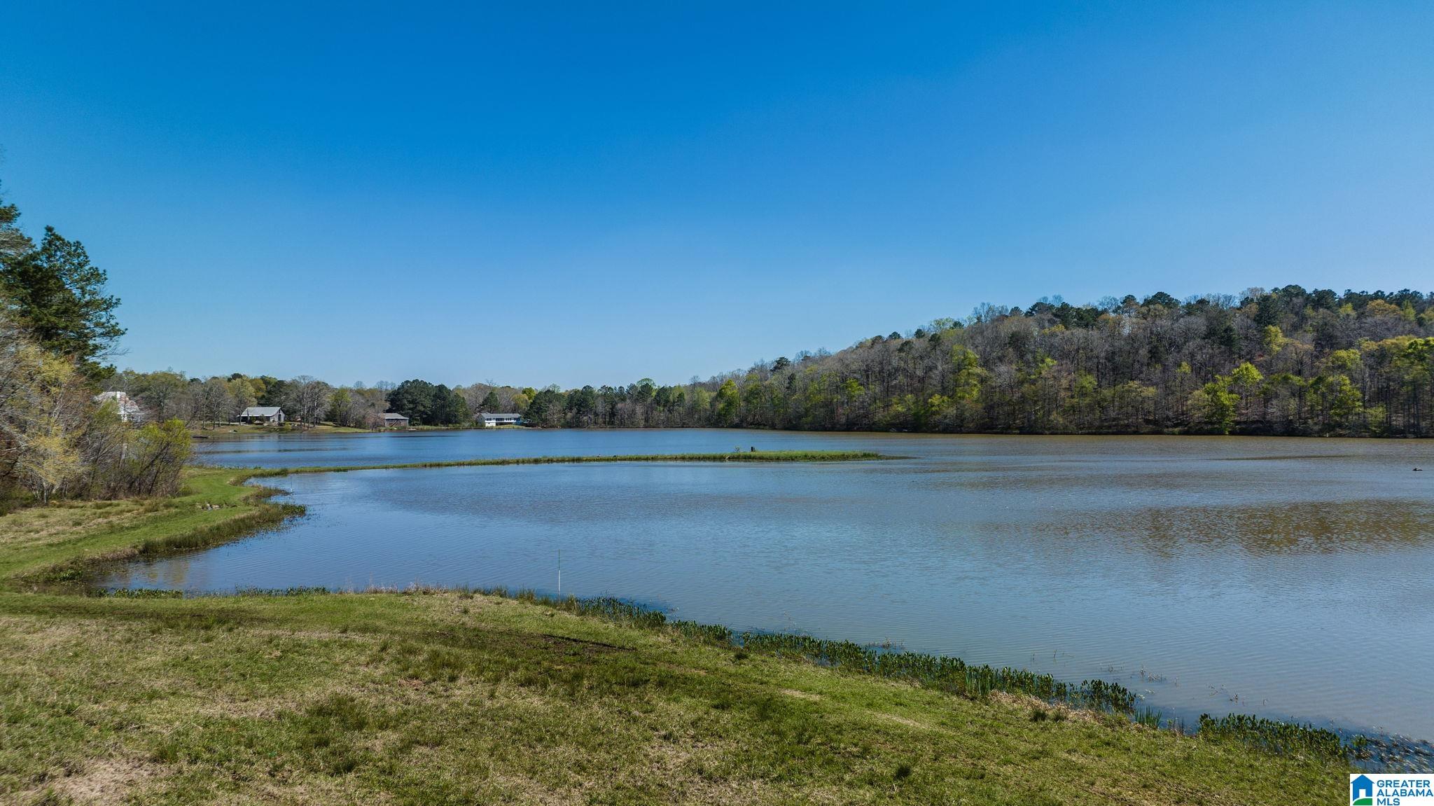 0 Beech Hollow, Unit 3 Chelsea, AL 35043 - Photo 6 of 11