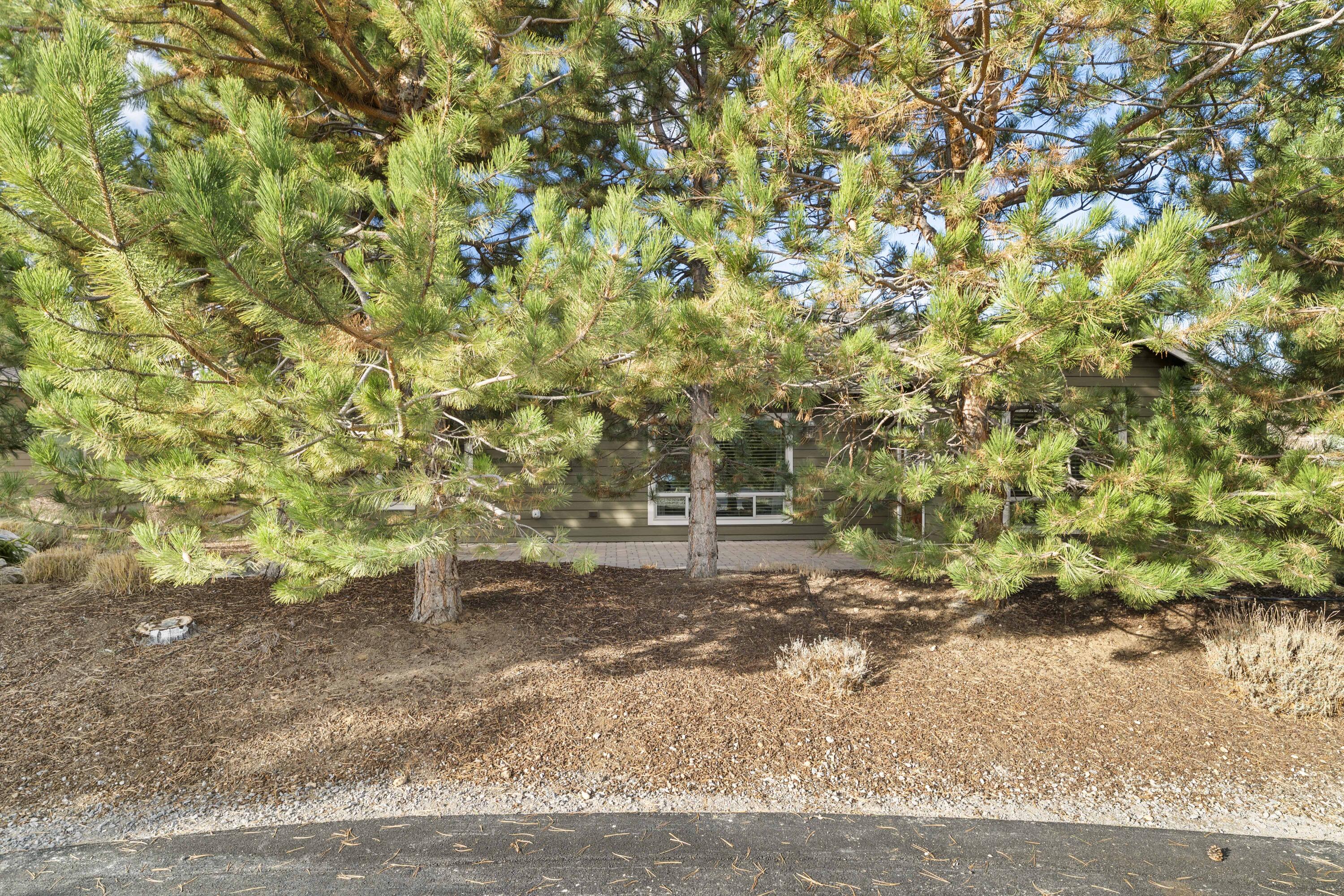 784 Ribbon Falls Road Redmond, OR 97756 - Photo 34 of 79 a view of a dry yard with wooden fence