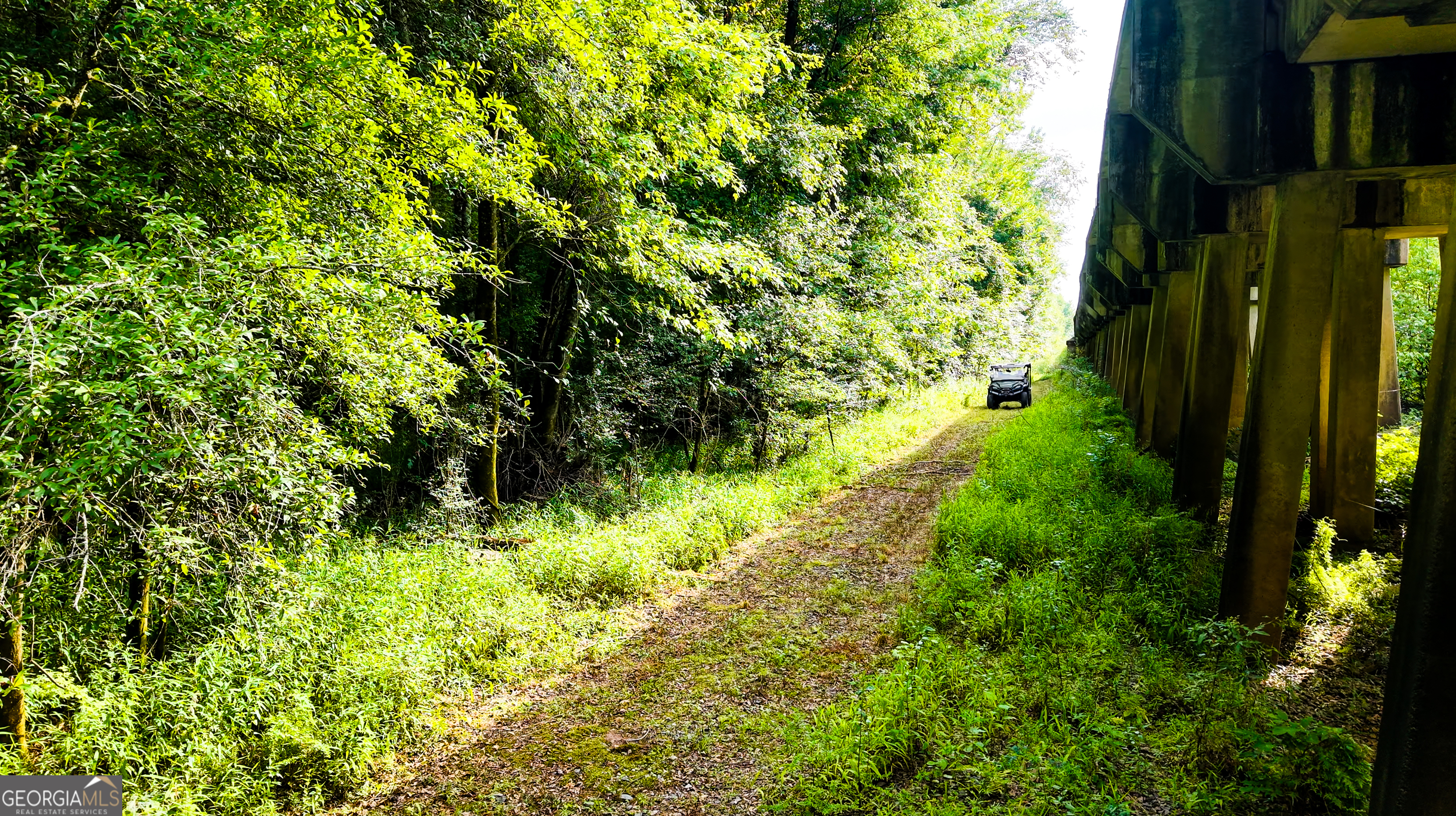 Tbd State Route 26 Road Montezuma, GA 31063 - Photo 12 of 52