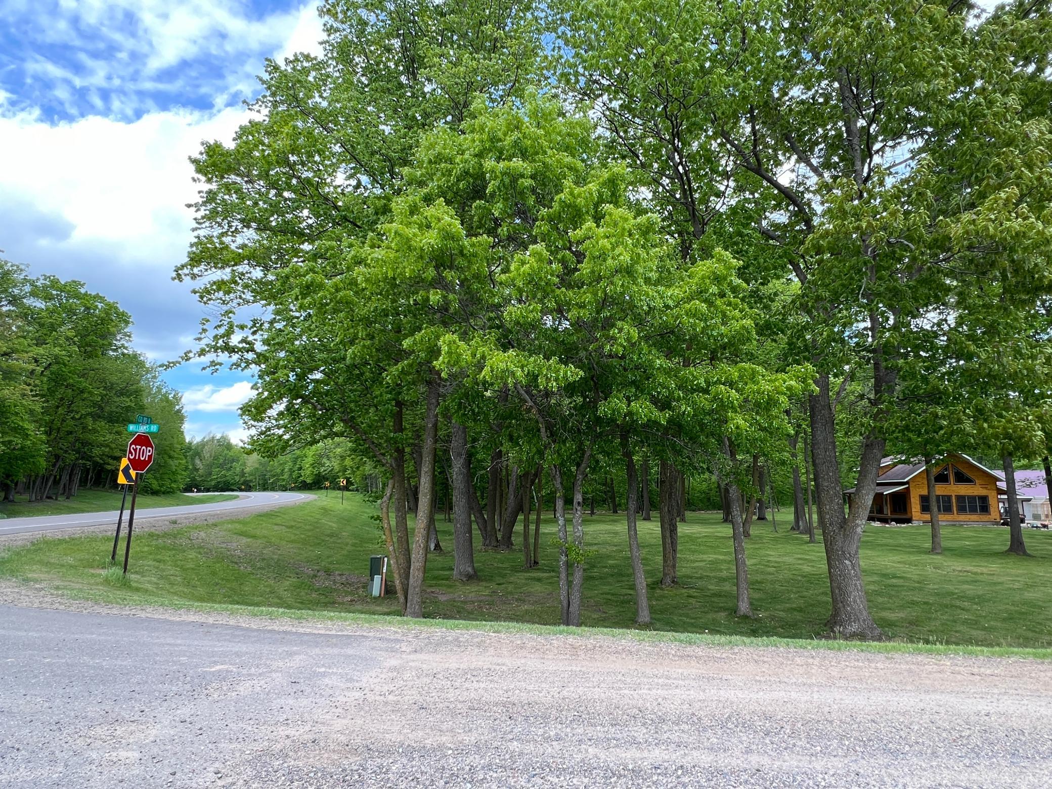 24148 Williams Road Hillman, MN 56338 - Photo 8 of 10