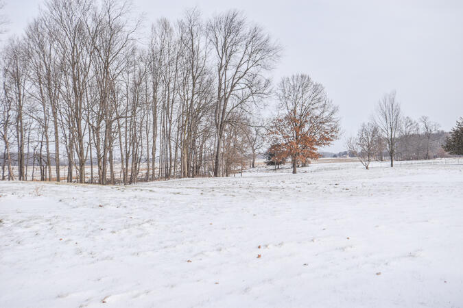 9655 Myers Road Clarklake, MI 49234 - Photo 38 of 40 DSC_0493