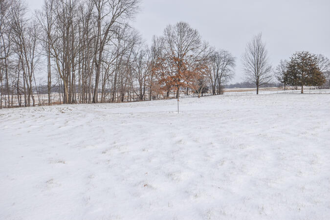 9655 Myers Road Clarklake, MI 49234 - Photo 39 of 40 DSC_0498