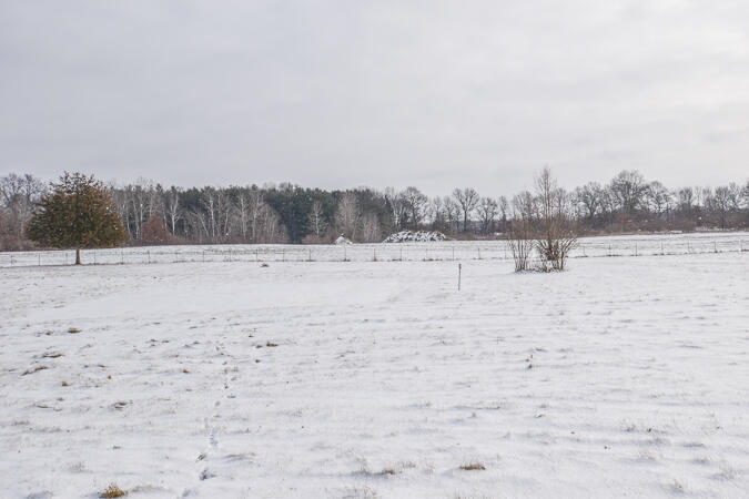 9655 Myers Road Clarklake, MI 49234 - Photo 40 of 40 DSC_0505