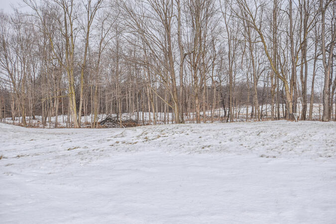 9655 Myers Road Clarklake, MI 49234 - Photo 5 of 40 DSC_0502