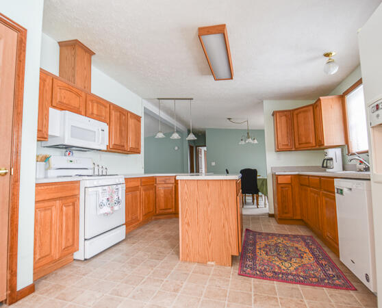 9655 Myers Road Clarklake, MI 49234 - Photo 9 of 40 DSC_0544