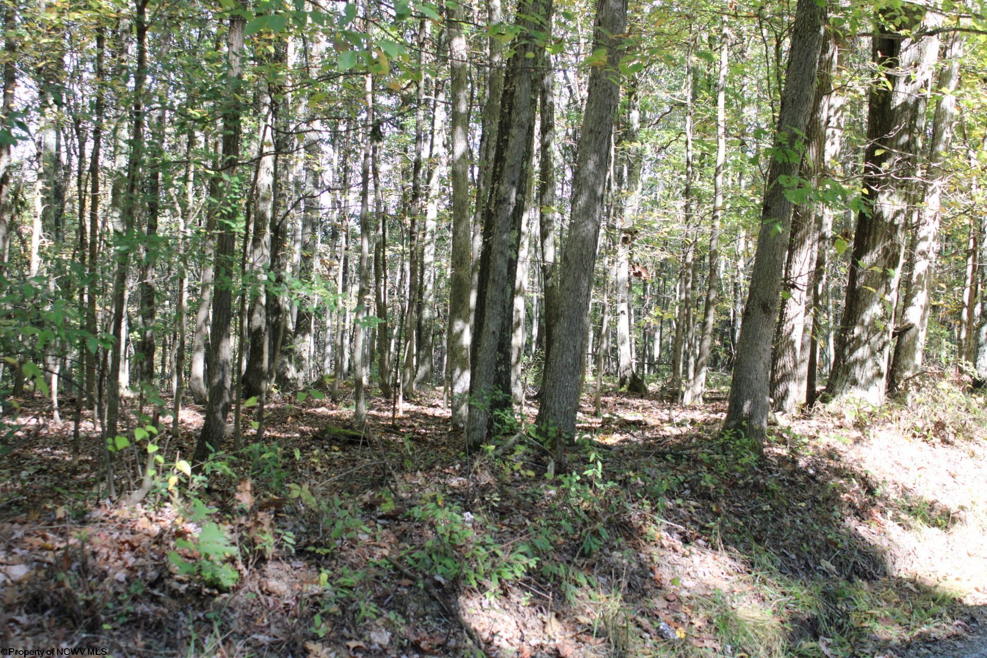1430 Sand Bank Road Masontown, WV 26542 - Photo 27 of 29 Gallery Image 27