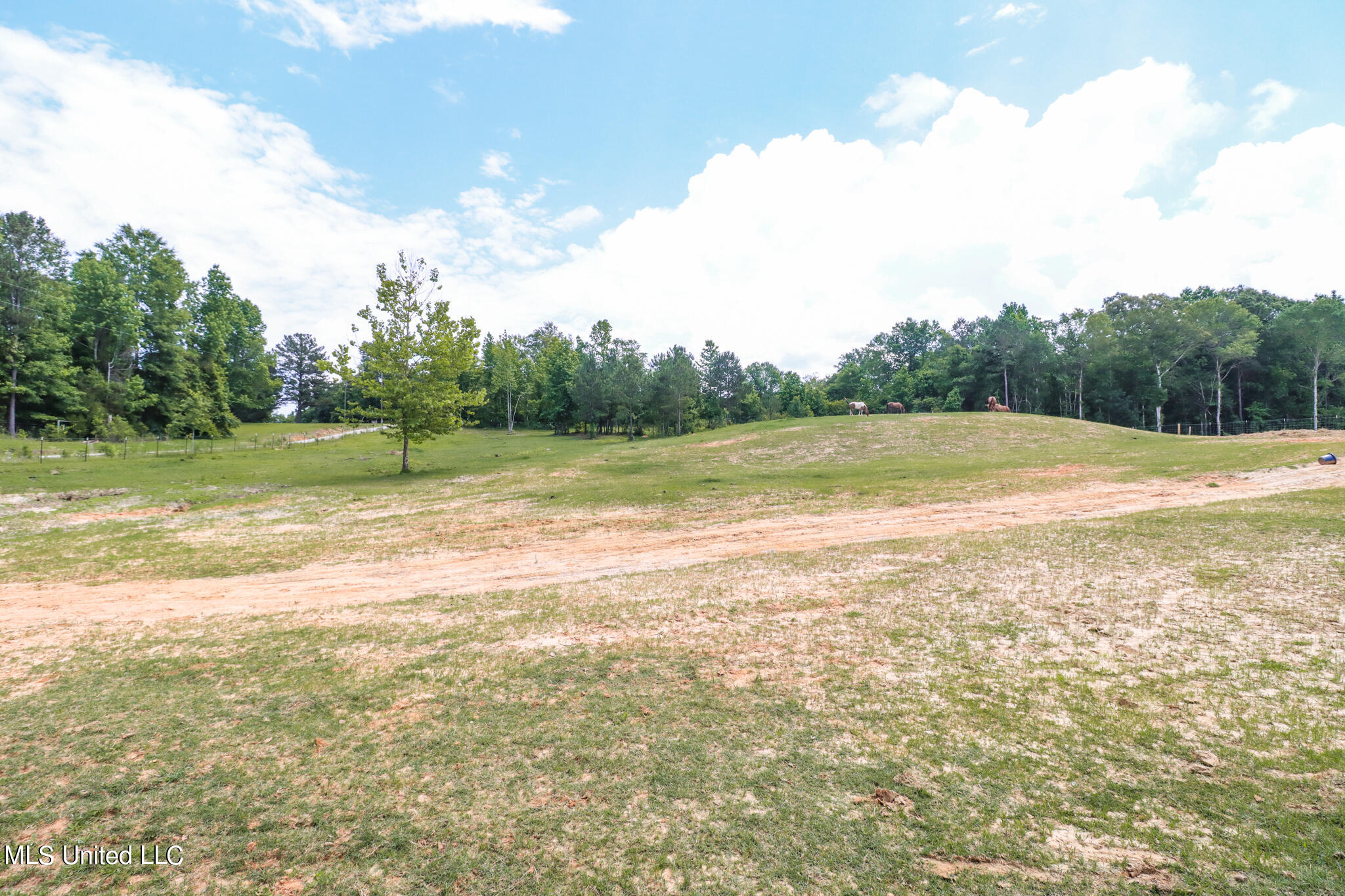 116 Mountain View Road Brandon, MS 39042 - Photo 7 of 48 57F0079F-BA99-4BC0-85AB-0F22C867596A