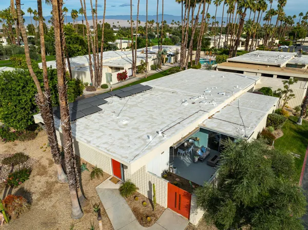 a potted plant sitting in front of a door