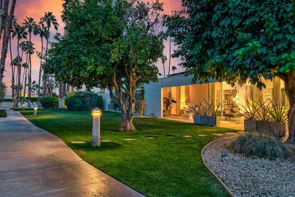a view of a garden with a tree