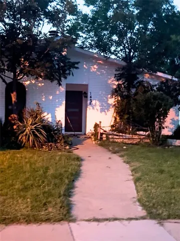 a view of a yard with plants