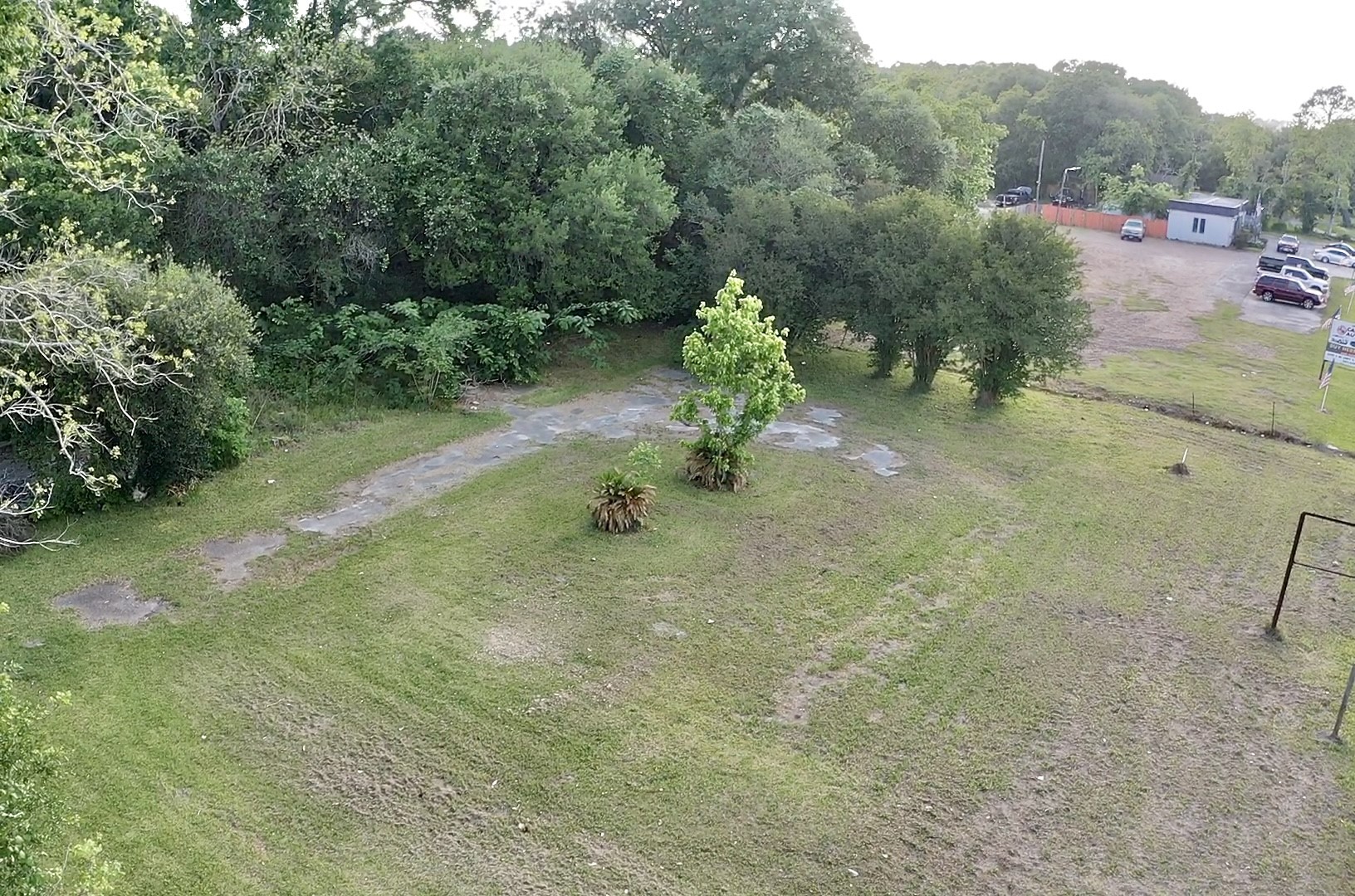 0 West Tx -6 Alvin, TX 77511 - Photo 15 of 15 a view of a forest with a tree