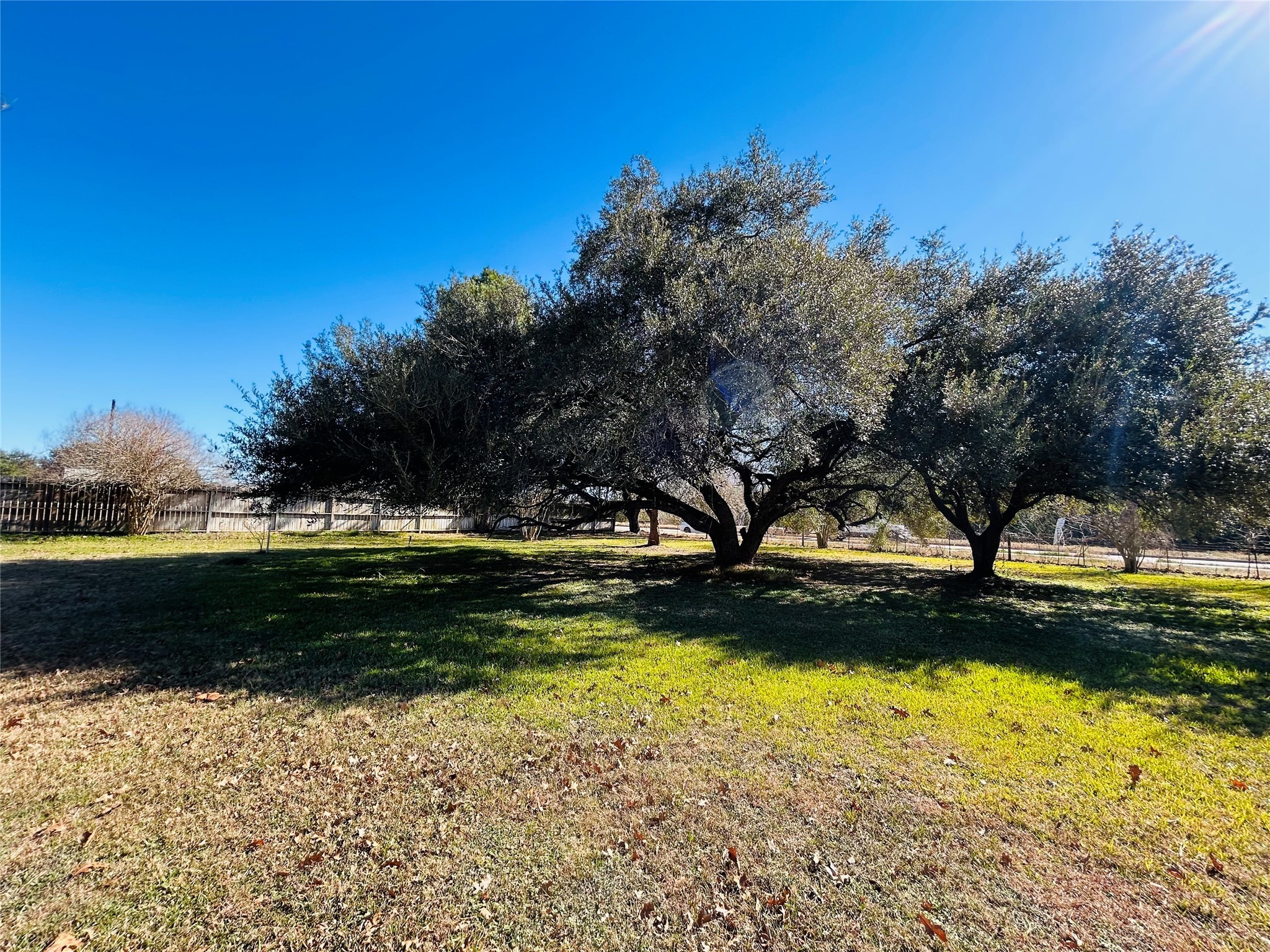 8879 Bailey Road Pearland, TX 77578 - Photo 12 of 17 a view of a backyard with swimming pool