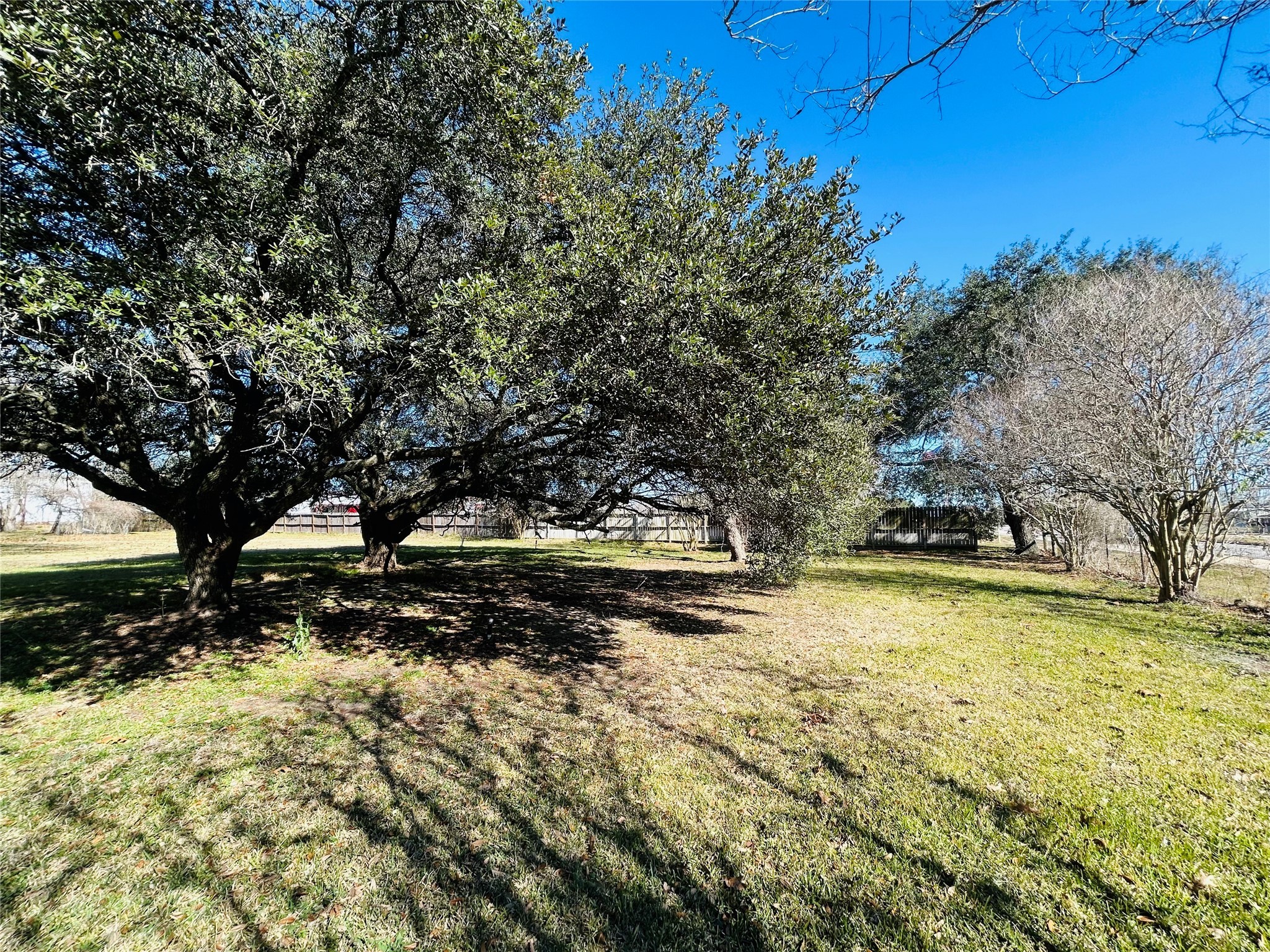 8879 Bailey Road Pearland, TX 77578 - Photo 16 of 17 a view of a yard with trees