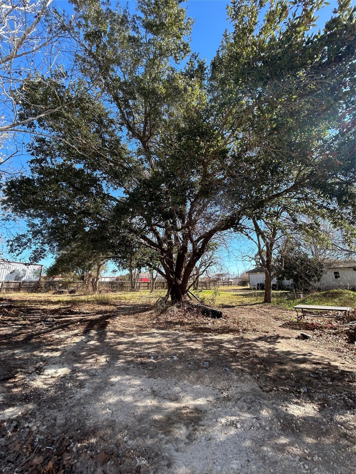 8879 Bailey Road Pearland, TX 77578 - Photo 17 of 17 a view of dirt yard with a large tree