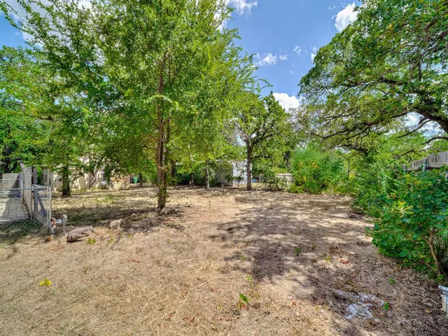 a view of a forest with trees