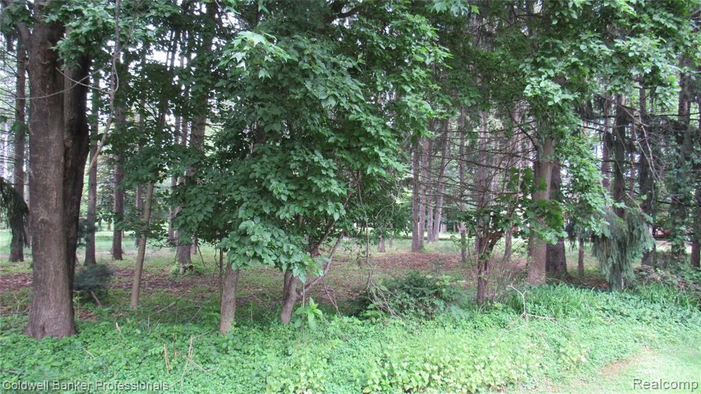22320 River Ridge Trail Farmington Hills, MI 48335 - Photo 38 of 42
