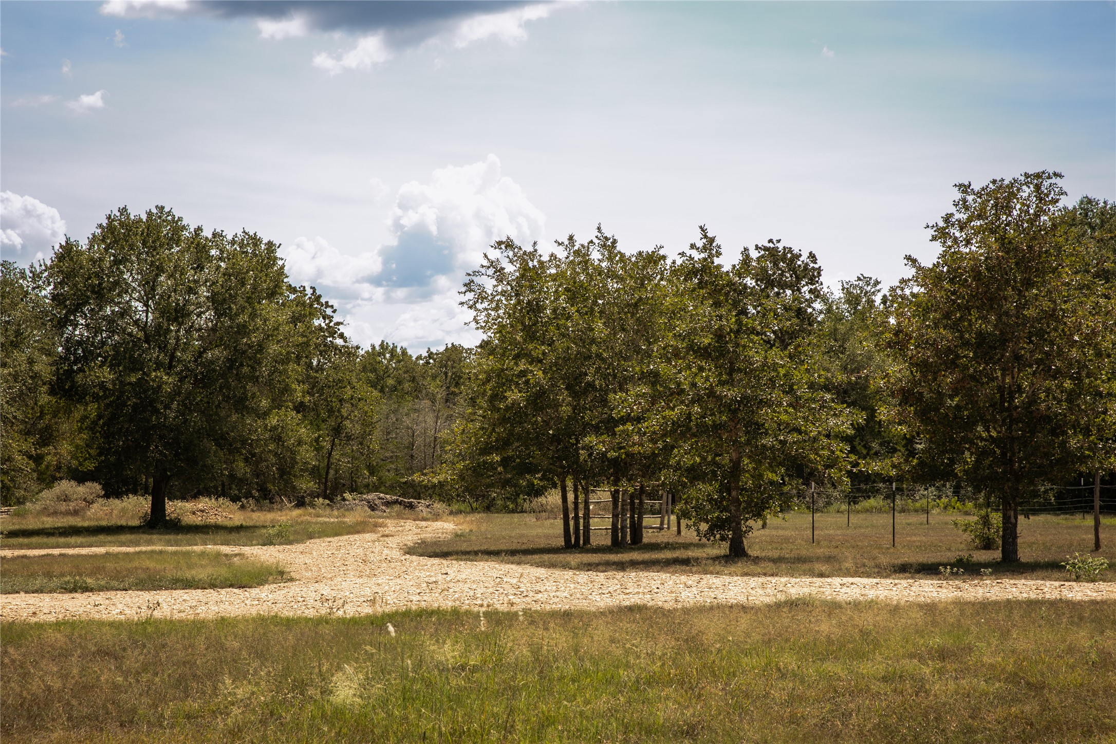 5848 FM 180 Road Ledbetter, TX 78946 - Photo 4 of 31 Gallery Image 4