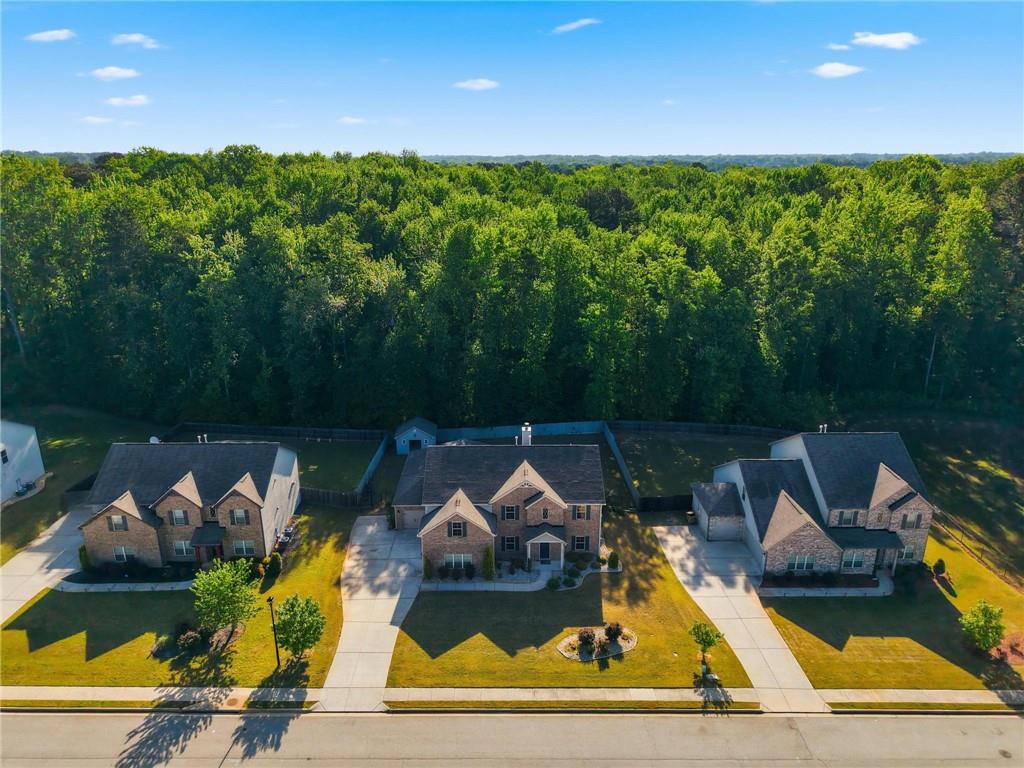 802 Relic Ridge Hampton, GA 30228 - Photo 8 of 46