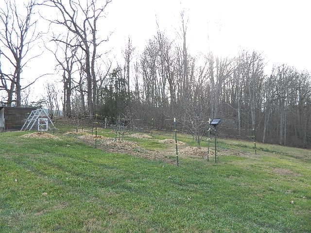 38400 Rafferty Road Chilhowie, VA 24319 - Photo 37 of 81 Gallery Image 37