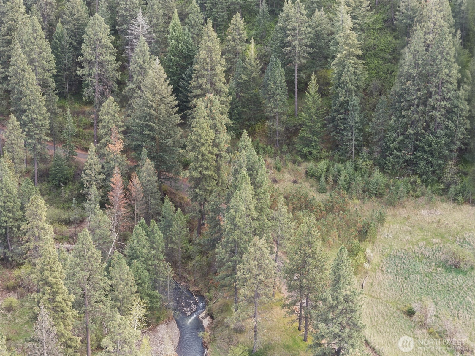 0 South Patit Road Dayton, WA 99328 - Photo 4 of 14 a close view of a forest