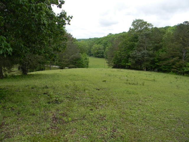 2310 Poplar Grove Road McEwen, TN 37101 - Photo 8 of 8 Gallery Image 8