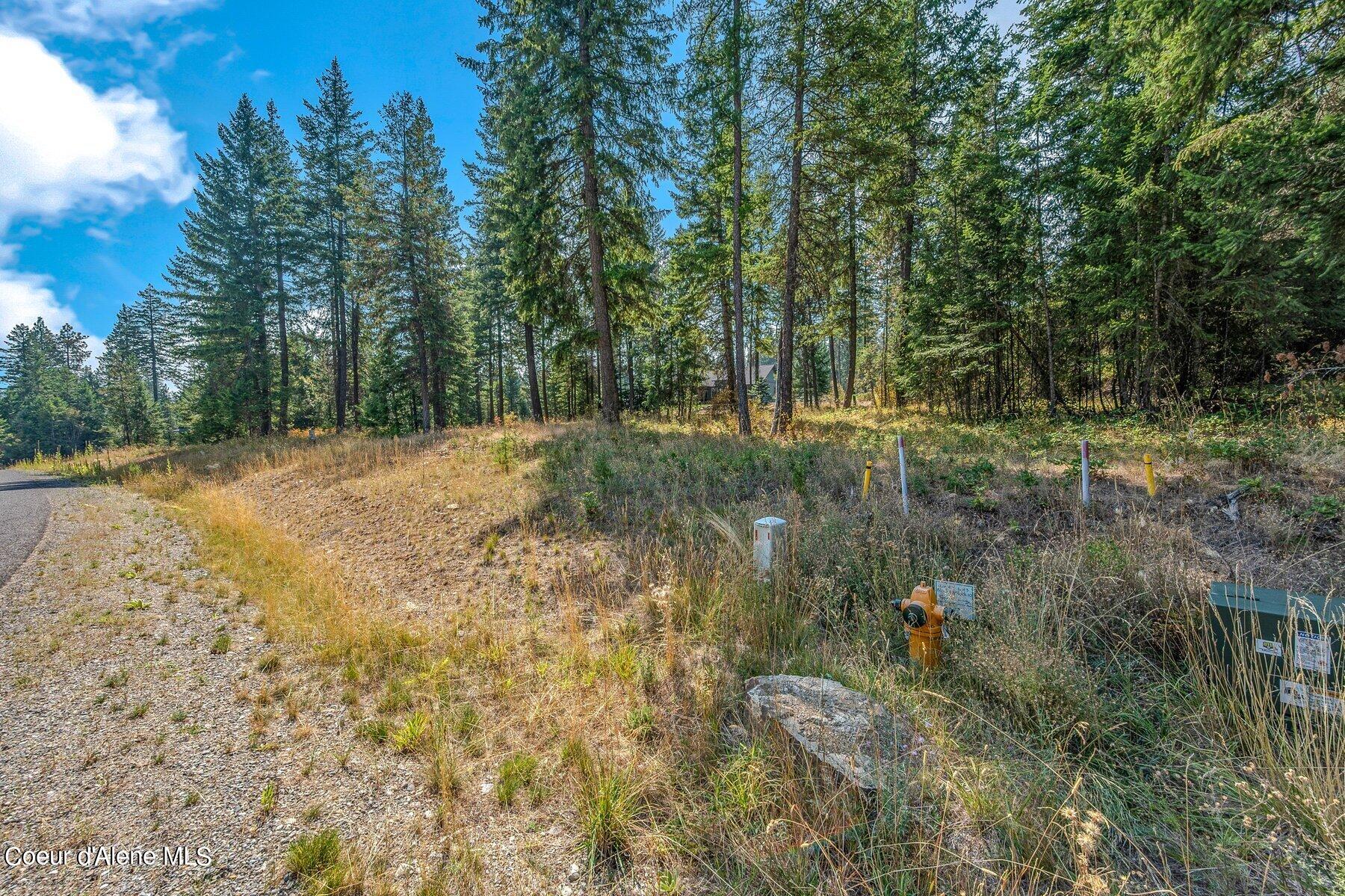 L4-b10 North Walden Loop Rathdrum, ID 83858 - Photo 36 of 48 Lot 4 Blk 10