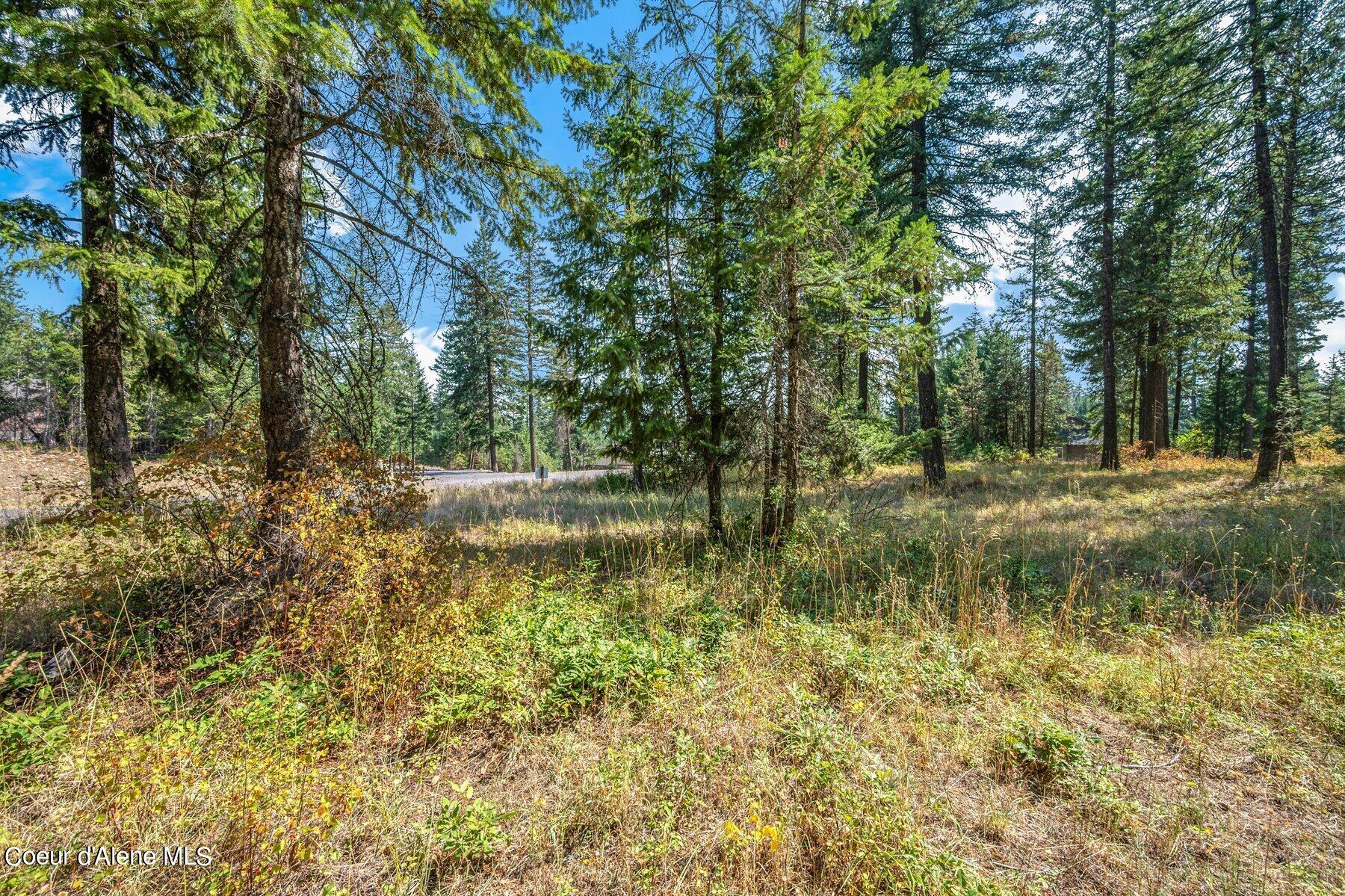 L4-b10 North Walden Loop Rathdrum, ID 83858 - Photo 38 of 48 Lot 4 Blk 10