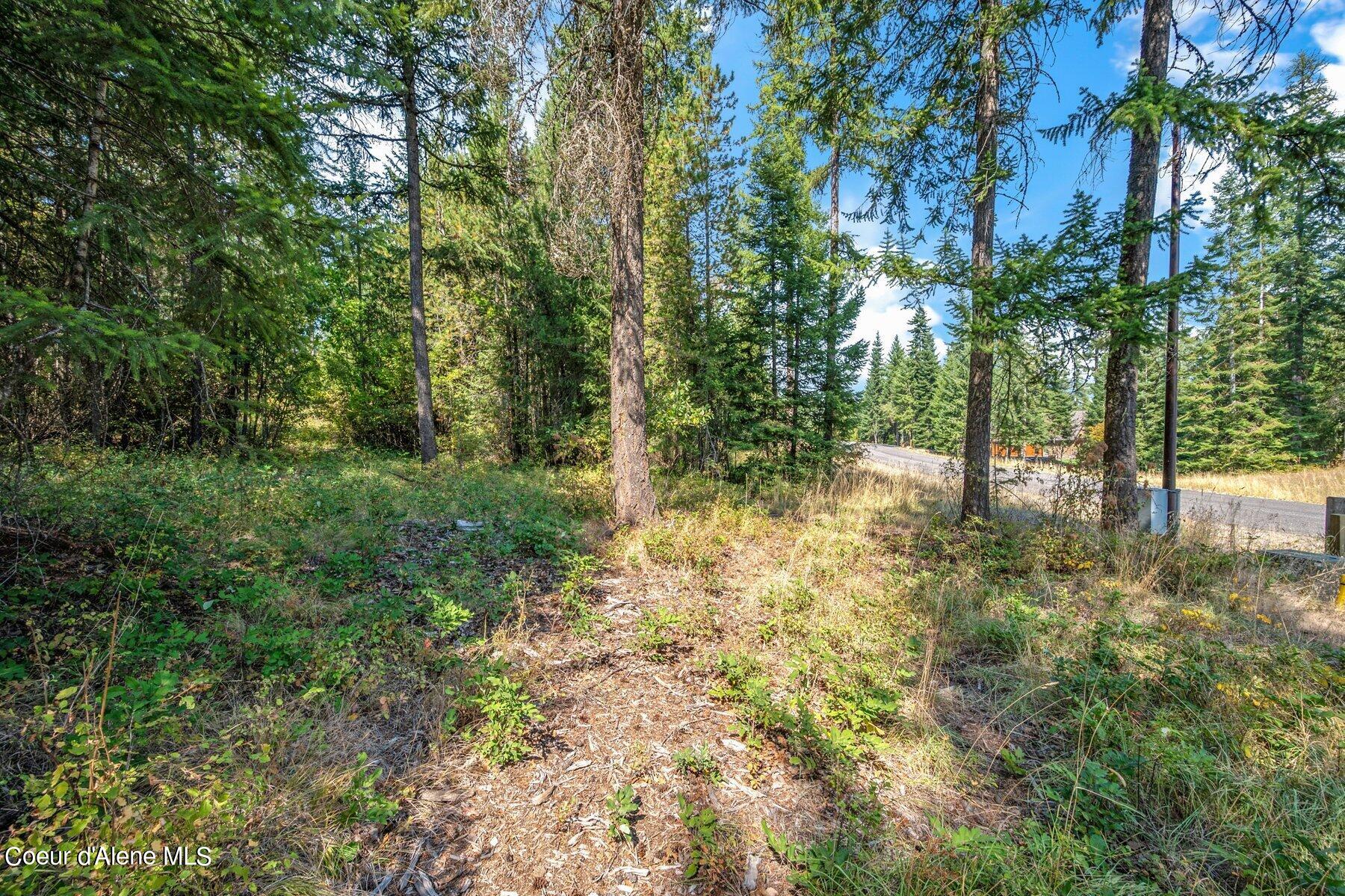 L4-b10 North Walden Loop Rathdrum, ID 83858 - Photo 39 of 48 Lot 4 Blk 10