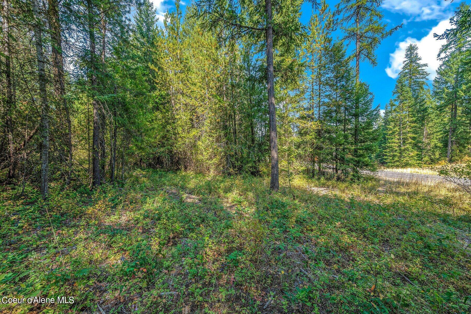 L4-b10 North Walden Loop Rathdrum, ID 83858 - Photo 40 of 48 Lot 4 Blk 10