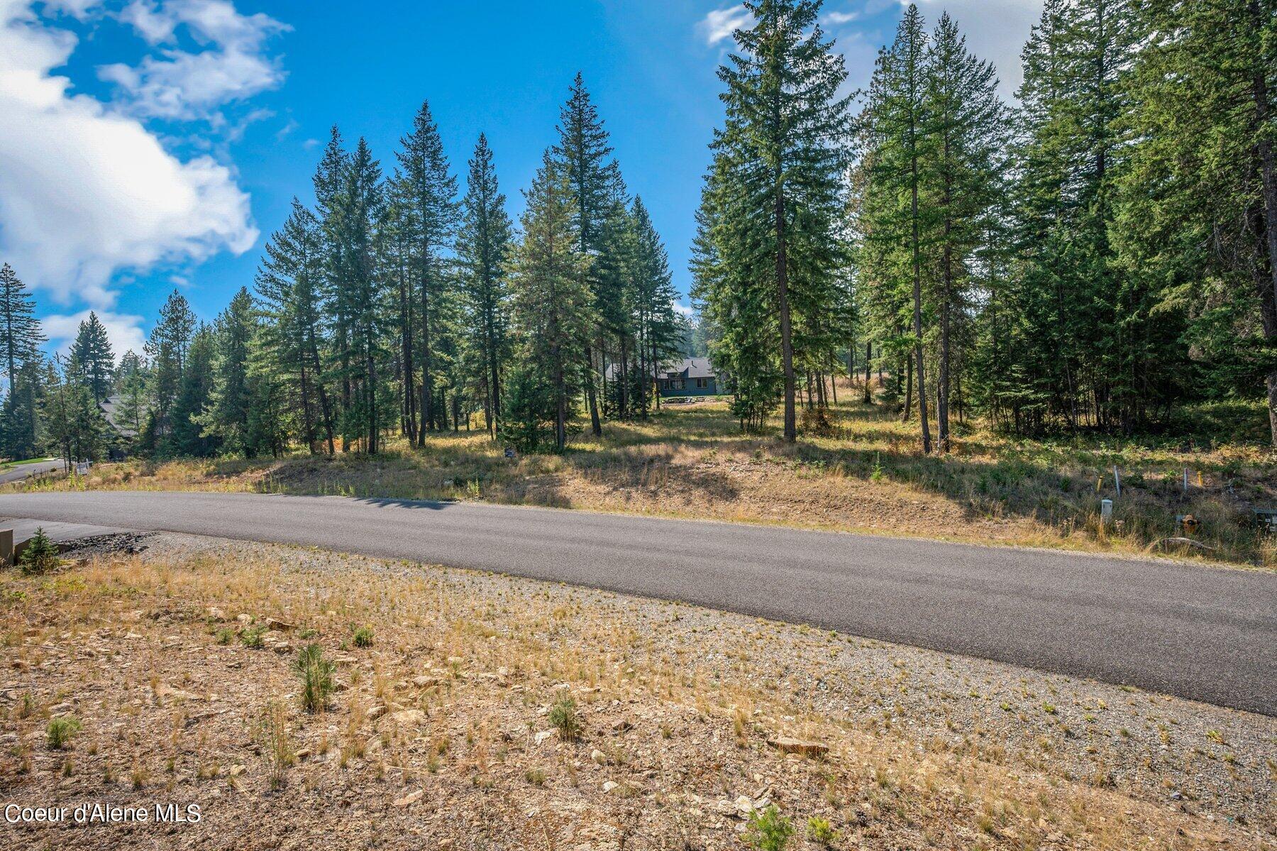 L4-b10 North Walden Loop Rathdrum, ID 83858 - Photo 41 of 48 Lot 4 Blk 10