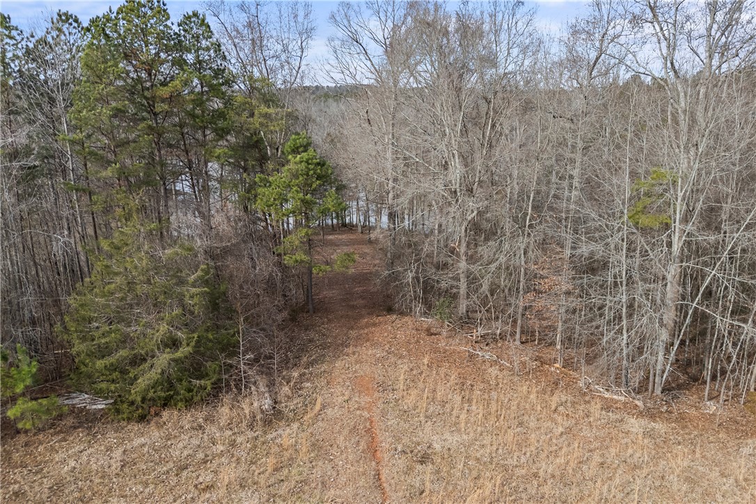 28-acres Water Works Road Walhalla, SC 29691 - Photo 10 of 10