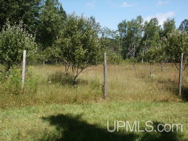 8946 Carbis Road Iron Mountain, MI 49801 - Photo 9 of 11 Gallery Image 9
