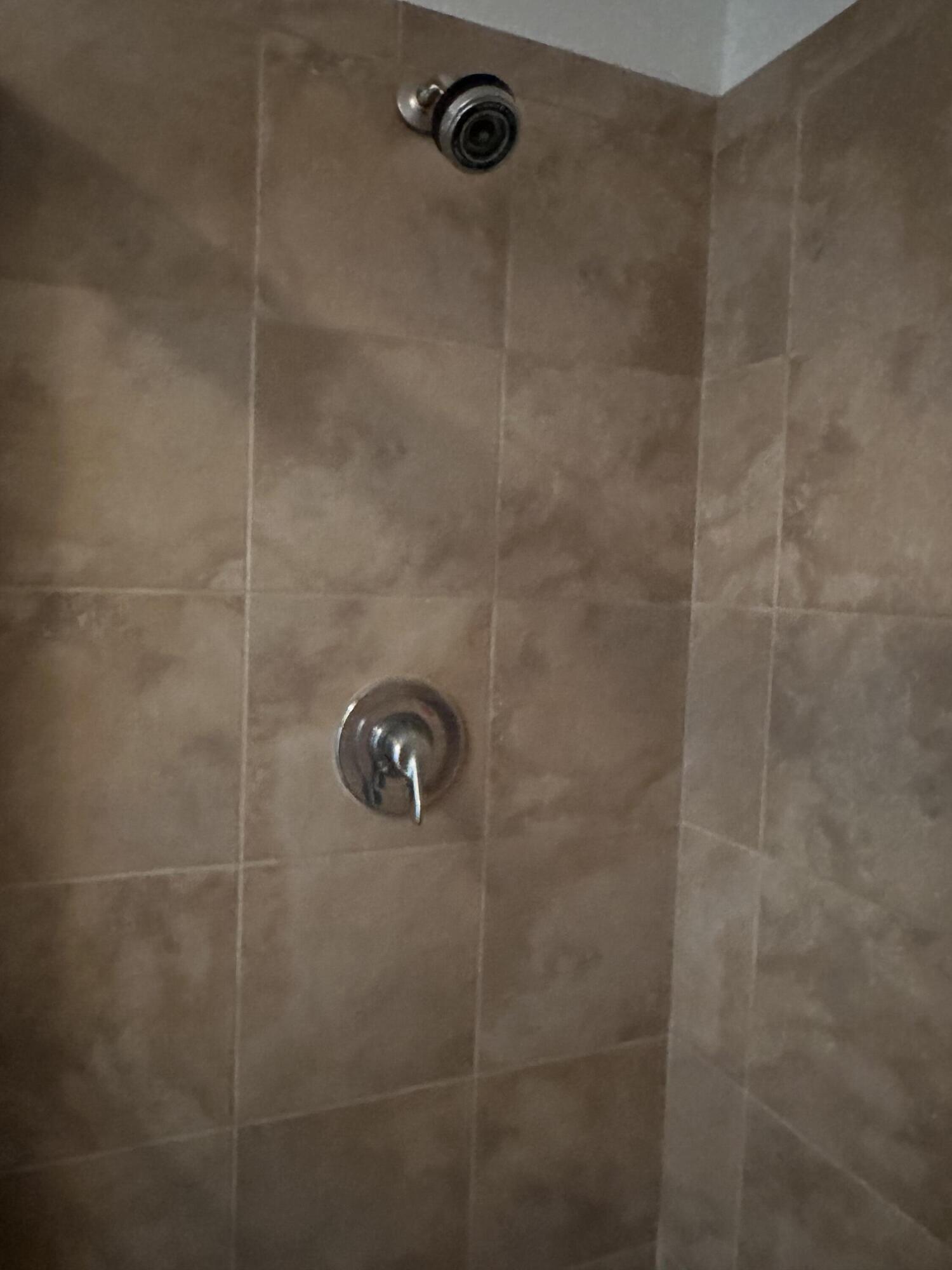 1660 Renaissance Commons Boulevard, Unit 2218 Boynton Beach, FL 33426 - Photo 17 of 47 8 master shower