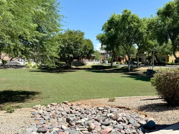 a view of a park with plants and trees