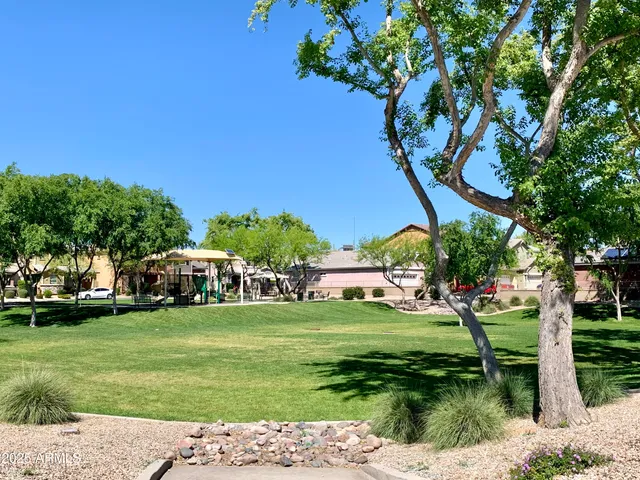 a view of a park with plants and trees