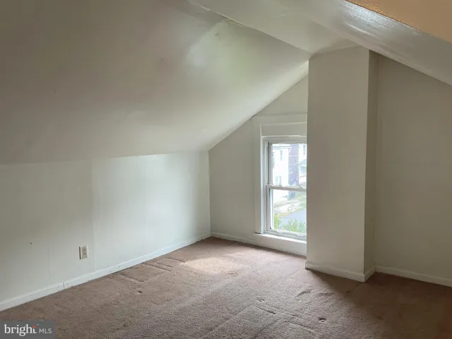 a view of a garden with a tree