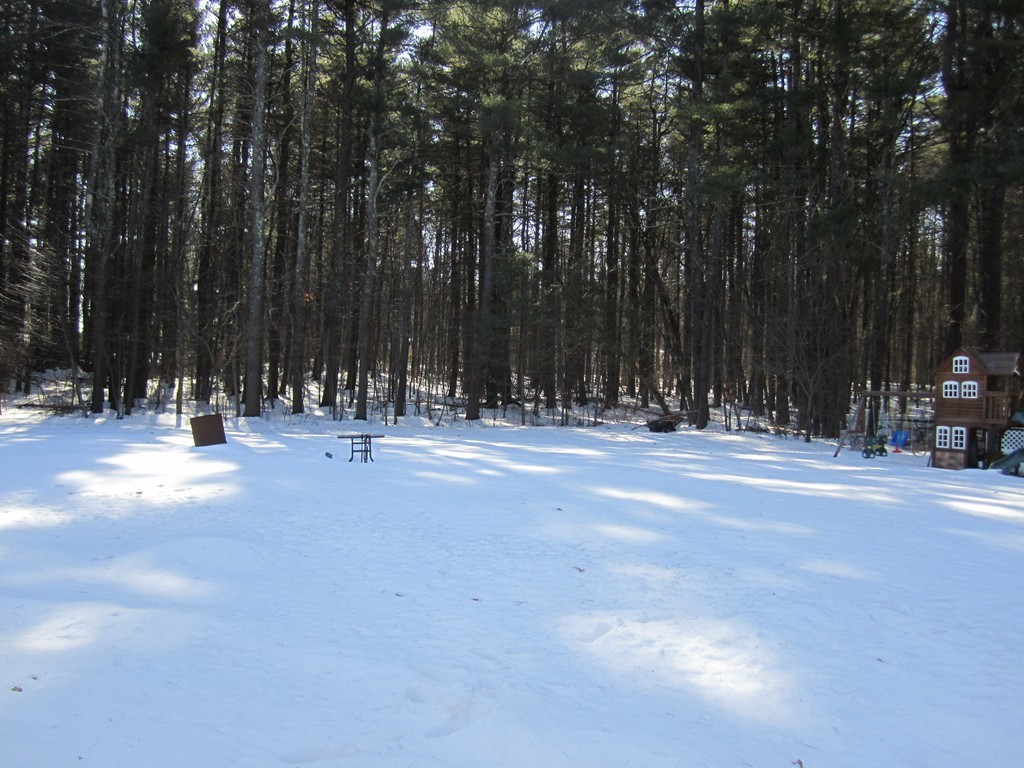 52 Forrest Road Westford, MA 01886 - Photo 18 of 20 Gallery Image 18