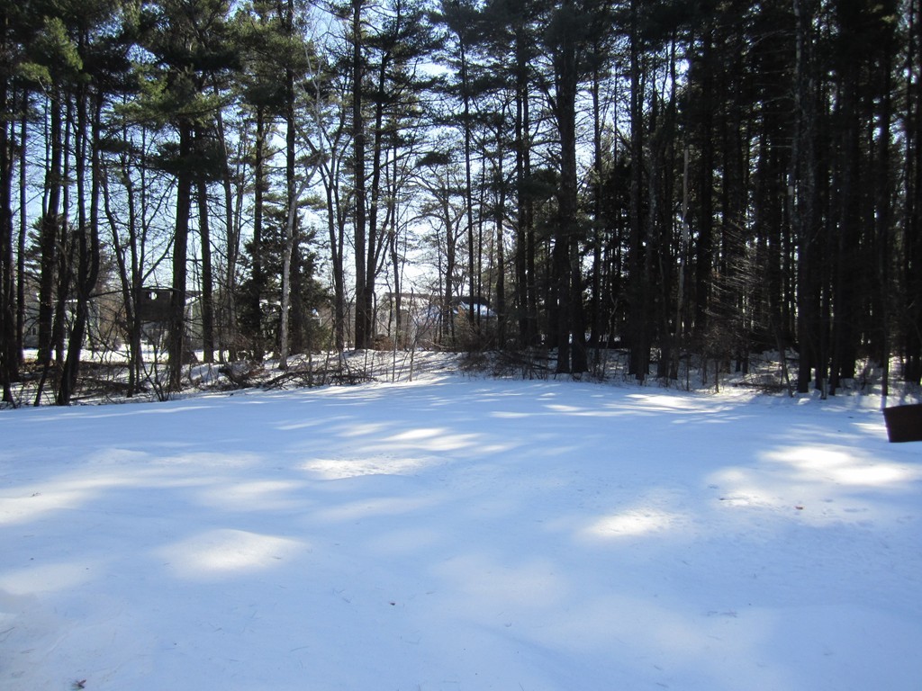 52 Forrest Road Westford, MA 01886 - Photo 19 of 20 Gallery Image 19